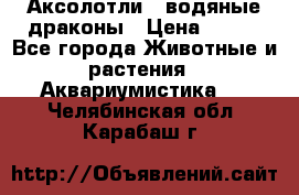 Аксолотли / водяные драконы › Цена ­ 500 - Все города Животные и растения » Аквариумистика   . Челябинская обл.,Карабаш г.